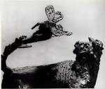 Winkler, Othmar , Toro con vespa -