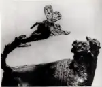 Anonimo ; Anonimo , s.v.