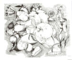 Zancanaro, Antonio , Disegno