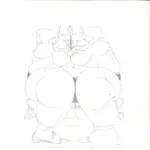 Zancanaro, Antonio , Le due ipotesi