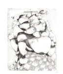 Anonimo , Zancanaro, Antonio - sec. XX - Disegno