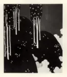 Zecchin, Vittorio , Bosco