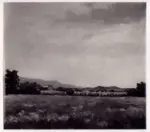 Anonimo , Ziveri, Alberto - sec. XX - Paesaggio friulano