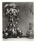 Anonimo ; Anonimo , s.v.