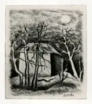 Zorzi, Giordano , Alberi e sole