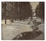 Anonimo ; Anonimo , s.v.