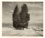Leitner, Thomas , Wintersonne