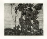 Schiele, Egon , Herbstonne