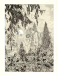 Staeger, Ferdinand , Jugend -