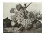 Dael van, Jean-Frans , Fruits -