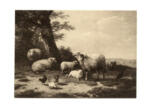 Verboeckhoven, Eugène , Pecore