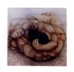 Frydman, Maurice , I lottatori (?)