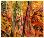 Wouters, Rik , L'automne en forêt de Soignes