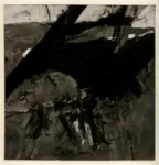 Ronald, William , Earth