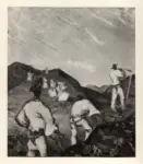 Benka, Martin , Raccolto del fieno