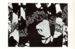 Kupka, Frank , White forms on black -