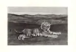 Barye, Antoine Louis , Le Tigre