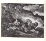 Anonimo ; Anonimo , s.v.