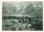 Anonimo , Boudin, Eugène - sec. XIX - Mucche al fiume