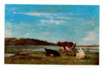 Anonimo , Boudin, Eugène - sec. XIX - Bords de la Touques