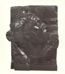 Bourdelle, Emile Antoine , L'&Eacute;pouvante de la Guerre