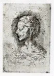 Carpeaux, Jean-Baptiste , Buste de jeune fille