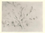 Cezanne, Paul , L'arbre du Jas de Bouffan