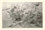 Cezanne, Paul , Etude de Femillage