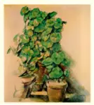 Cezanne, Paul , Les pots de G&eacute;raniums