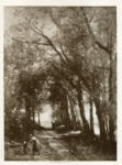 Corot, Jean Baptiste Camille , A lane through the trees