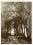 Anonimo , Corot, Jean Baptiste Camille - sec. XIX - A lane through the trees