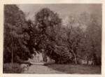 Corot, Jean Baptiste Camille , Entrée de la villa MM. Duberisson à Brunoy