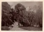 Anonimo , Corot, Jean Baptiste Camille - sec. XIX - Entr&eacute;e de la villa MM. Duberisson &agrave; Brunoy