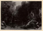Courbet, Gustave , Il ruscello nascosto