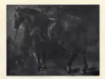 Courbet, Gustave , Etude de cheval