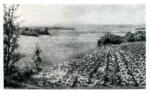 Cross, Henri Edmond , Landscape -