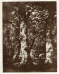 Diaz De La Pena, Narcisse , Study of Trees