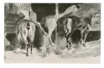 Delacroix, Eugène , Cavalli nella scuderia