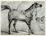 Delacroix, Eugène , Stallone arabo sellato