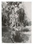 Delacroix, Eugène , Ruscello a Valmont