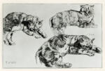 Anonimo , Delacroix, Eugène - sec. XIX - Studio di gatti