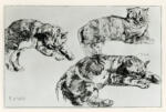 Delacroix, Eugène , Studio di gatti