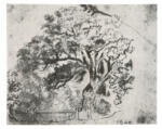 Delacroix, Eugène , La quercia Prieur della foresta di Sénart