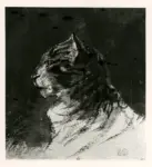 Anonimo ; Anonimo , s.v.