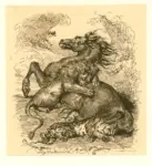 Anonimo ; Anonimo , s.v.