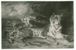 Anonimo , Delacroix, Eugène - sec. XIX - Tigrotto che gioca con la madre