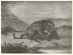 Anonimo , Delacroix, Eugène - sec. XIX - Leone che divora coccodrillo