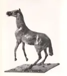 Anonimo ; Anonimo , s.v.