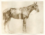Degas, Edgar , Horse
