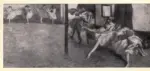 Degas, Edgar , The ballet rehearsal
